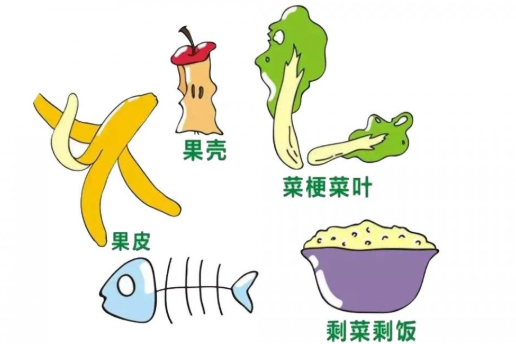 青青草视频在线下载的重要性