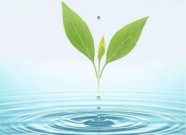 激情AV青青草垃圾需要制度性回收