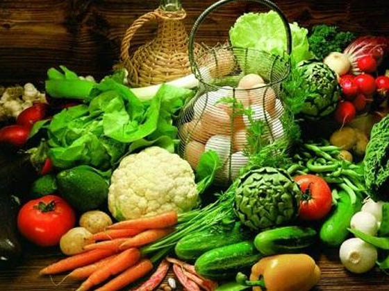 青青草手机视频生物：目前易腐垃圾的主要处理方式