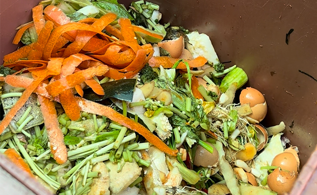 青青草色情网站垃圾减量化资源化处理